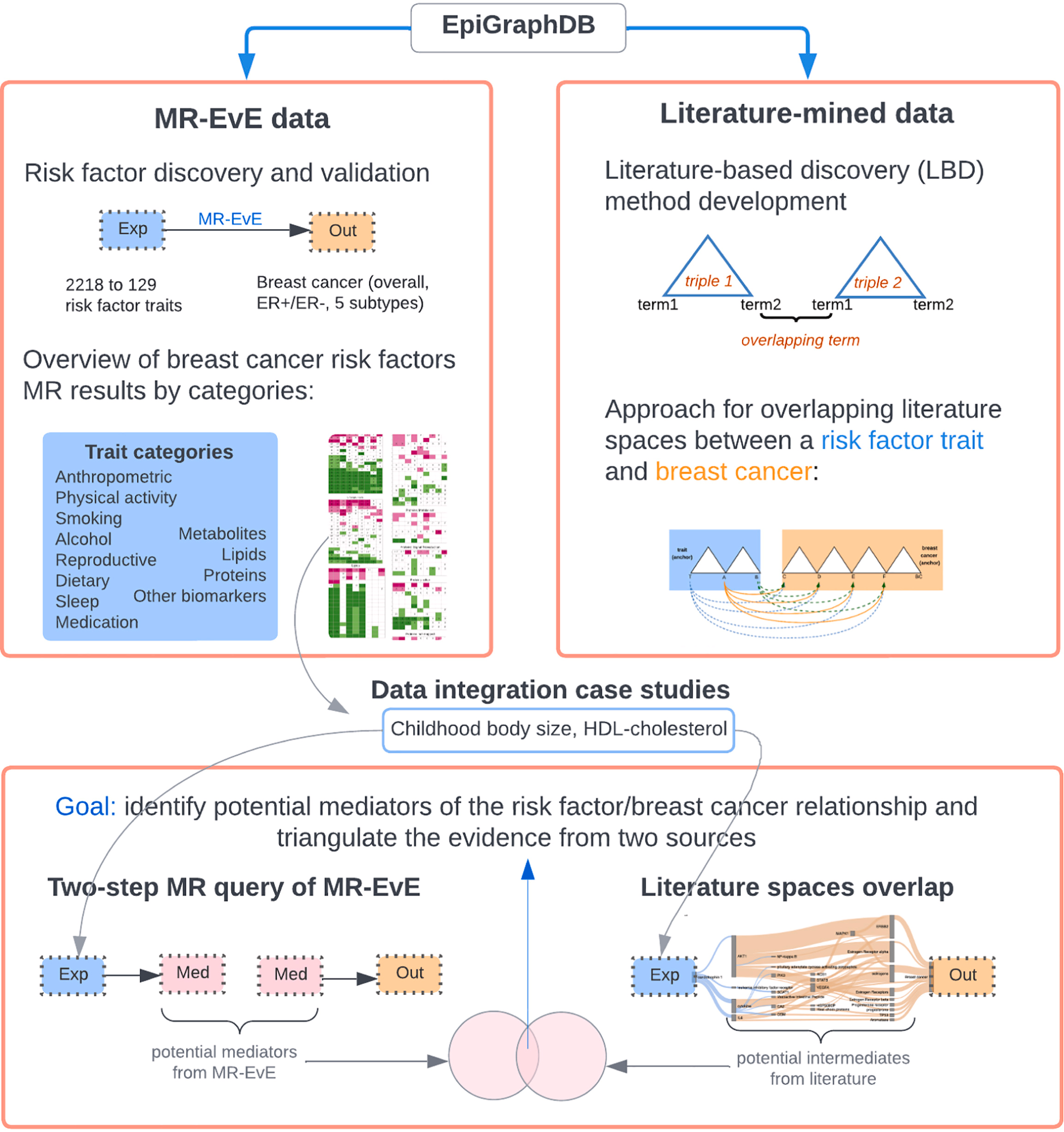 Illustration of integrating MR and literature-mined evidence to identify breast cancer risk pathways.
